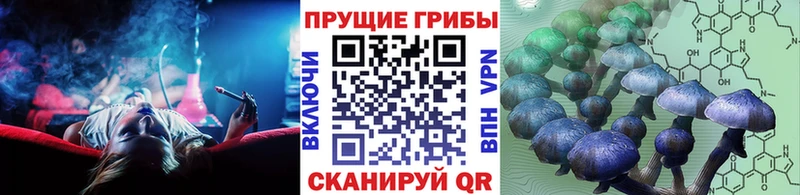 где купить наркоту  Ардатов  Галлюциногенные грибы мицелий 